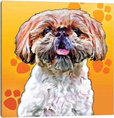 Pop Dog VIII Canvas Art Print - Shih Tzu Art