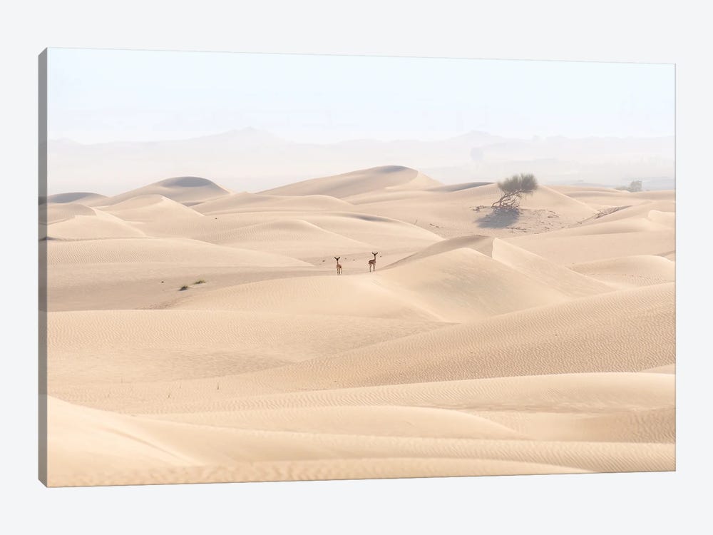Minimal Desert Life by Khaldoon Aldway 1-piece Canvas Artwork