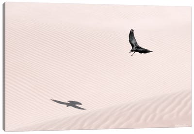 Flying Shadow Canvas Art Print - Khaldoon Aldway