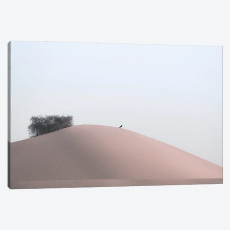 Minimal Desert Life II Canvas Print #KDA25} by Khaldoon Aldway Canvas Art Print