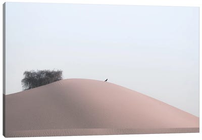Minimal Desert Life II Canvas Art Print - Less is More