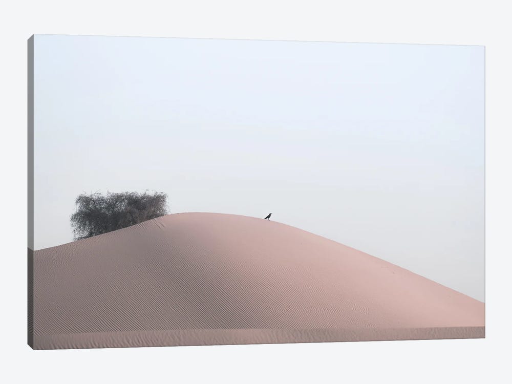 Minimal Desert Life II by Khaldoon Aldway 1-piece Canvas Artwork