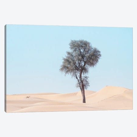 Minimal Desert Life III Canvas Print #KDA35} by Khaldoon Aldway Canvas Wall Art