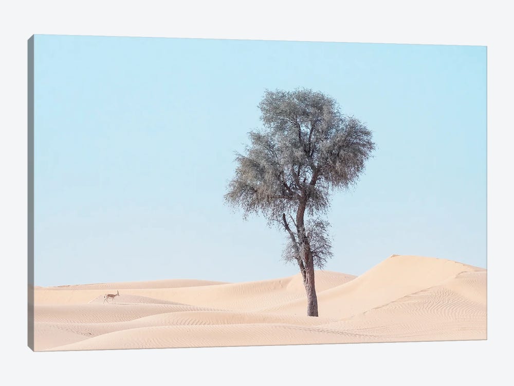 Minimal Desert Life III by Khaldoon Aldway 1-piece Canvas Print