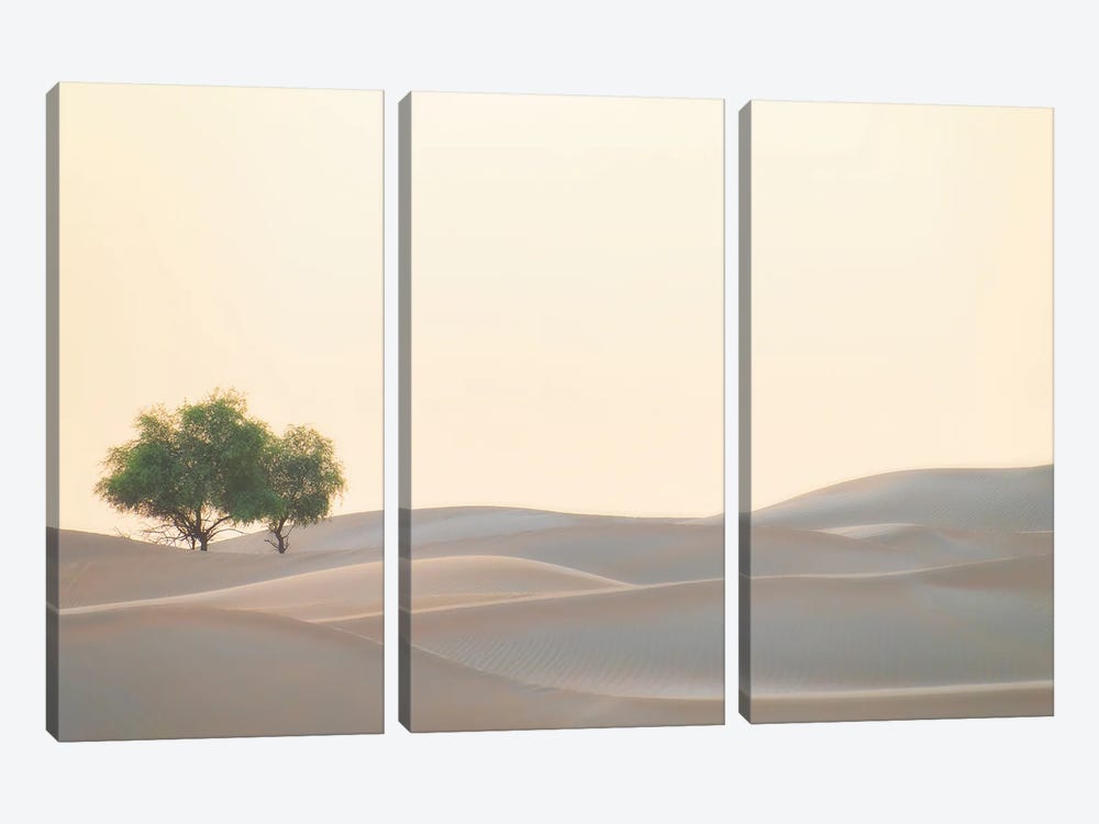Waves Of Sand by Khaldoon Aldway 3-piece Canvas Art