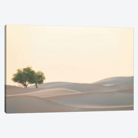 Waves Of Sand Canvas Print #KDA41} by Khaldoon Aldway Canvas Wall Art