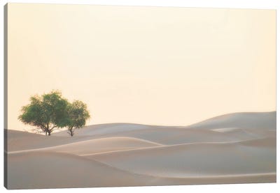 Waves Of Sand Canvas Art Print - Khaldoon Aldway
