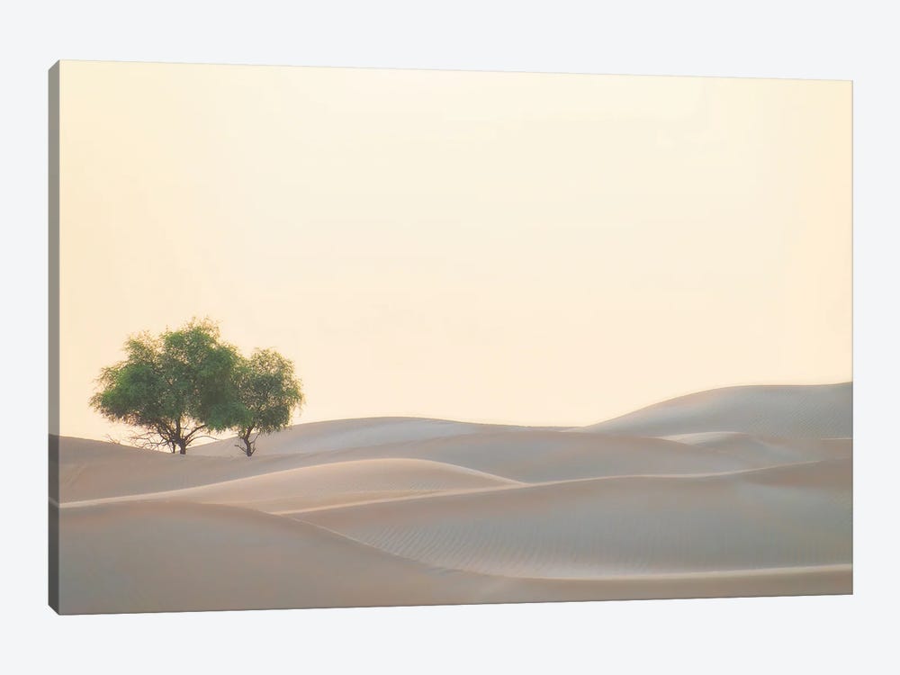 Waves Of Sand by Khaldoon Aldway 1-piece Canvas Artwork