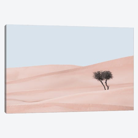 Desert Scape I Canvas Print #KDA45} by Khaldoon Aldway Canvas Print