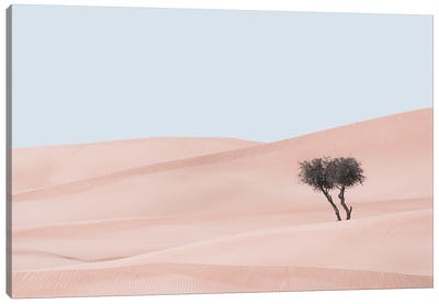 Desert Scape I Canvas Art Print - Khaldoon Aldway