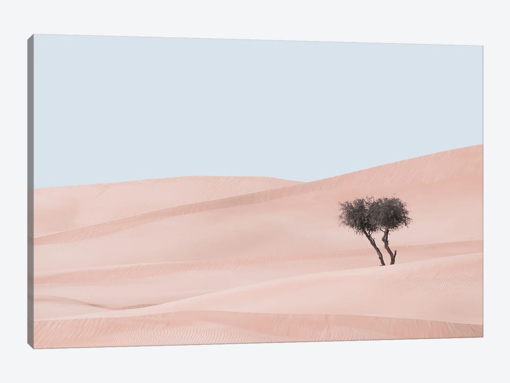 Desert Scape I by Khaldoon Aldway 1-piece Canvas Artwork