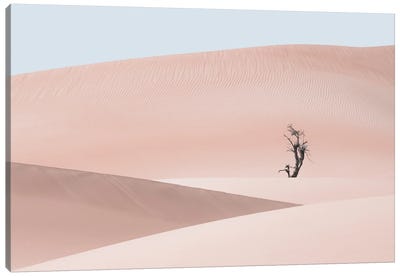 Desert Scape II Canvas Art Print - Khaldoon Aldway