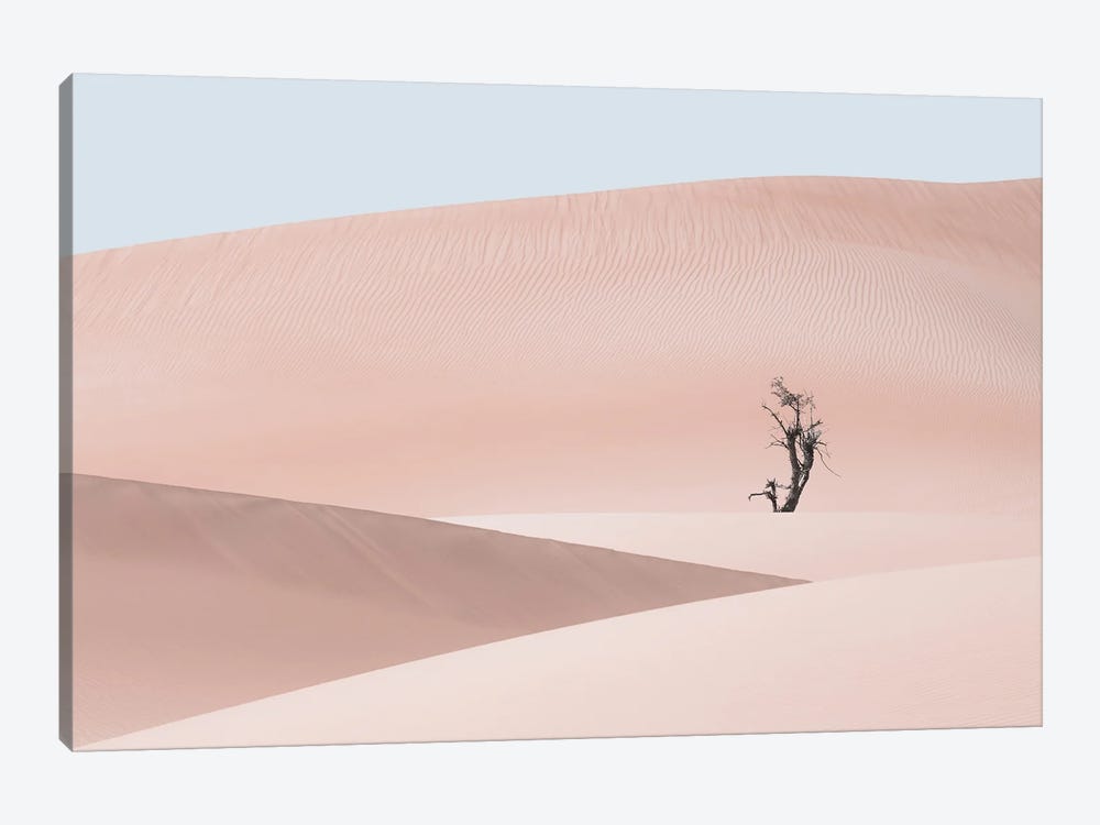Desert Scape II by Khaldoon Aldway 1-piece Canvas Art Print