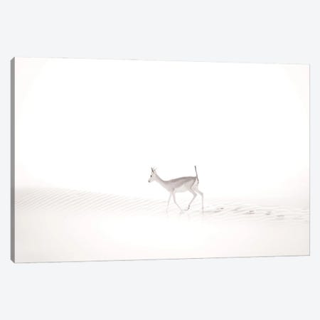 Walking In The Mist Canvas Print #KDA50} by Khaldoon Aldway Art Print