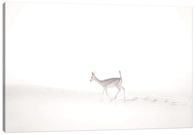 Walking In The Mist Canvas Art Print - Khaldoon Aldway
