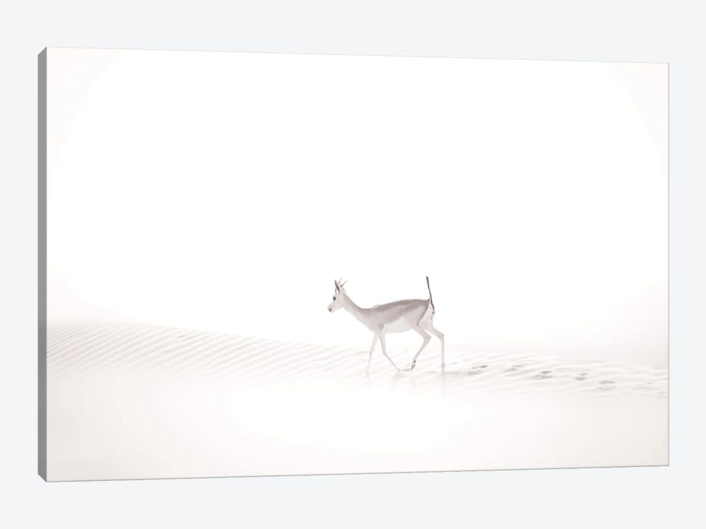 Walking In The Mist by Khaldoon Aldway 1-piece Canvas Art