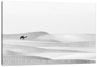 Desert Ship Canvas Art Print - Camel Art