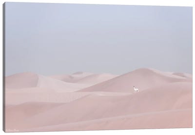 Minimal Desert Life IV Canvas Art Print - Khaldoon Aldway
