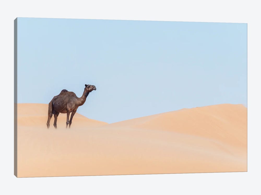 Desert Ship II by Khaldoon Aldway 1-piece Art Print