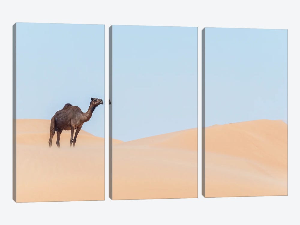 Desert Ship II by Khaldoon Aldway 3-piece Canvas Print