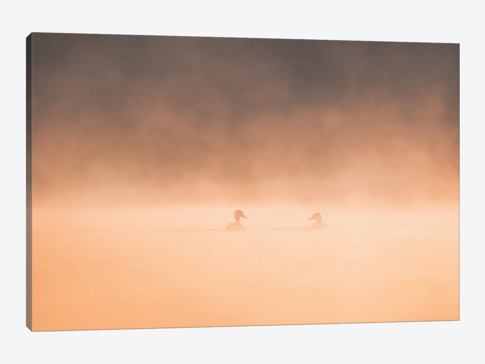 Private Meeting In The Mist by Khaldoon Aldway 1-piece Canvas Art Print