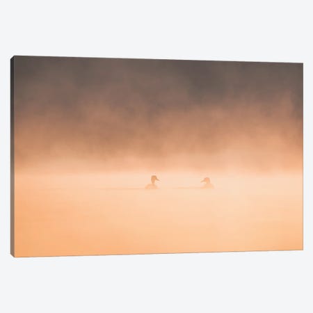Private Meeting In The Mist Canvas Print #KDA80} by Khaldoon Aldway Canvas Wall Art