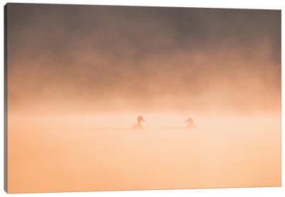 Private Meeting In The Mist Canvas Art Print - Rothko Inspired Photography