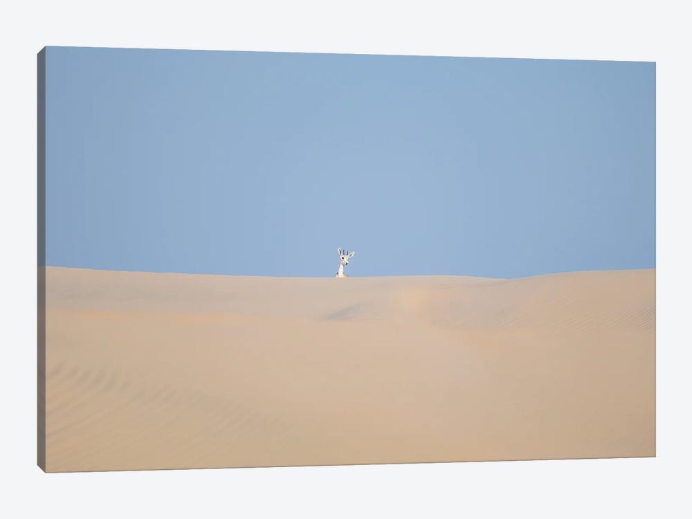 Minimal Desert Life VII by Khaldoon Aldway 1-piece Canvas Art