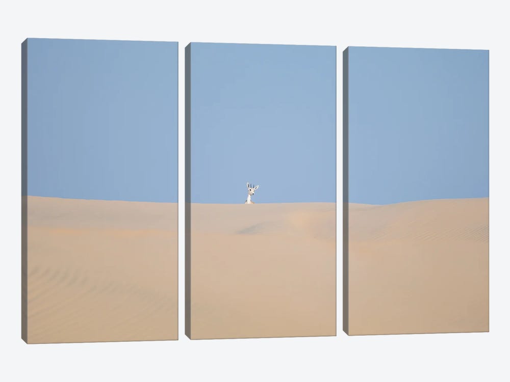 Minimal Desert Life VII by Khaldoon Aldway 3-piece Canvas Artwork