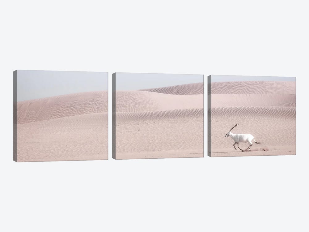 Oryx On The Run by Khaldoon Aldway 3-piece Art Print