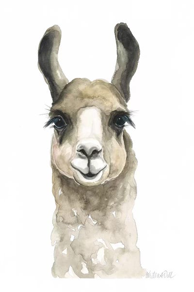 Brown Llama by Kirsten Dill art print