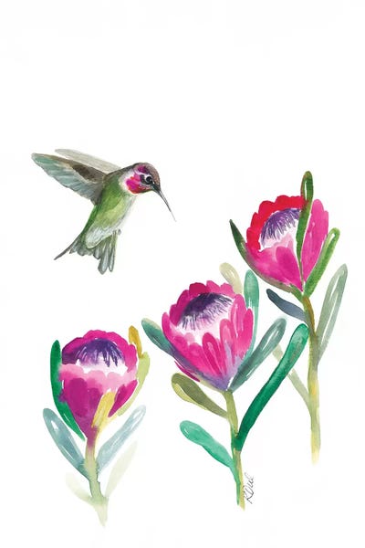 Floral Hummingbird by Kirsten Dill art print