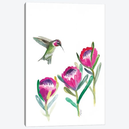Floral Hummingbird Canvas Print #KDI12} by Kirsten Dill Canvas Art Print