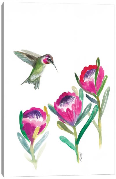 Floral Hummingbird Canvas Art Print - Kirsten Dill