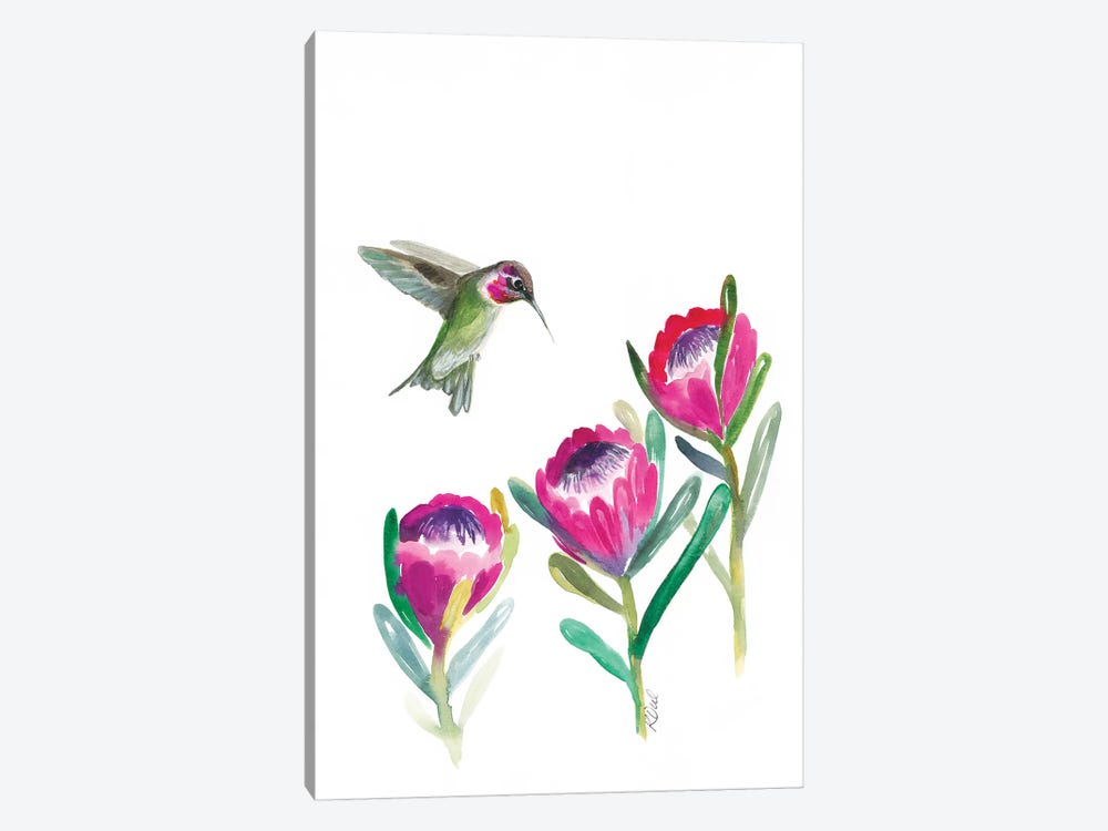 Floral Hummingbird by Kirsten Dill 1-piece Canvas Art Print