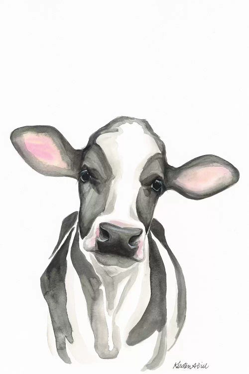 Holstein Calf