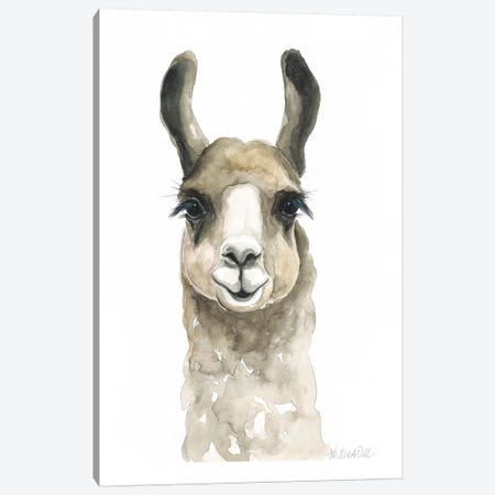 Brown Llama Canvas Print #KDI1} by Kirsten Dill Art Print