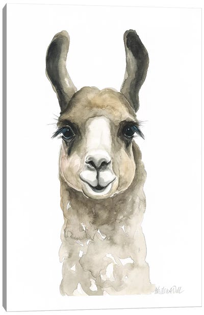 Brown Llama Canvas Art Print - Llama & Alpaca Art