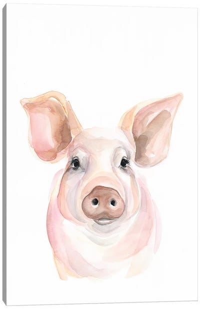 Pig Canvas Art Print - Farmhouse Kitchen Art