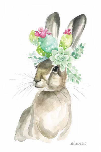 Rabbits: Sonoran Rosie by Kirsten Dill