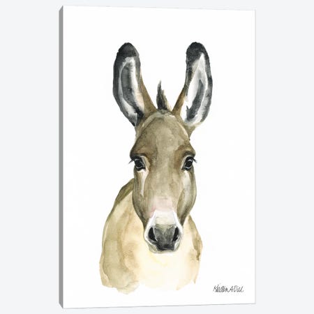 Donkey Canvas Print #KDI8} by Kirsten Dill Canvas Art Print