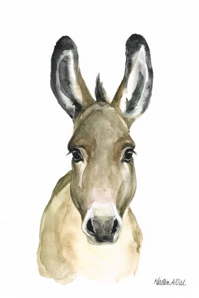 Donkeys: Donkey by Kirsten Dill
