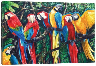 Feathered BFF Canvas Art Print - Macaw Art