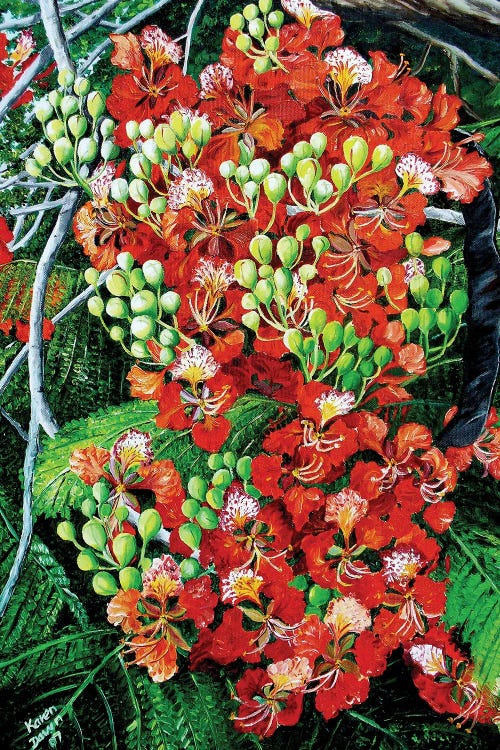 Flamboyant-Poinciana by Karin Dawn Kelshall-Best wall art