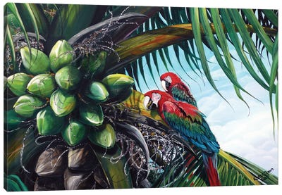 Friends Of A Feather Canvas Art Print - Macaw Art