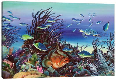 Grumpy Grouper Canvas Art Print - Coral Art