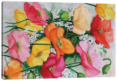 Icelandic Mixed Poppies Canvas Art Print - Karin Dawn Kelshall-Best