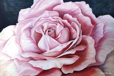 La Bella Rosa Art Print by Karin Dawn KelshallBest iCanvas