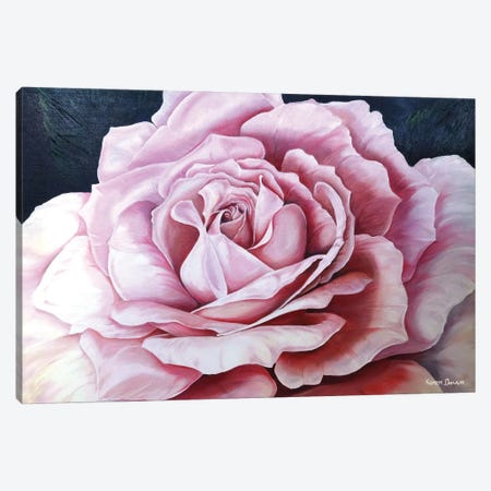 La Bella Rosa Canvas Print #KDK33} by Karin Dawn Kelshall-Best Canvas Print