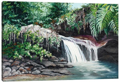 Asa Wright Falls Canvas Art Print - Trinidad & Tobago